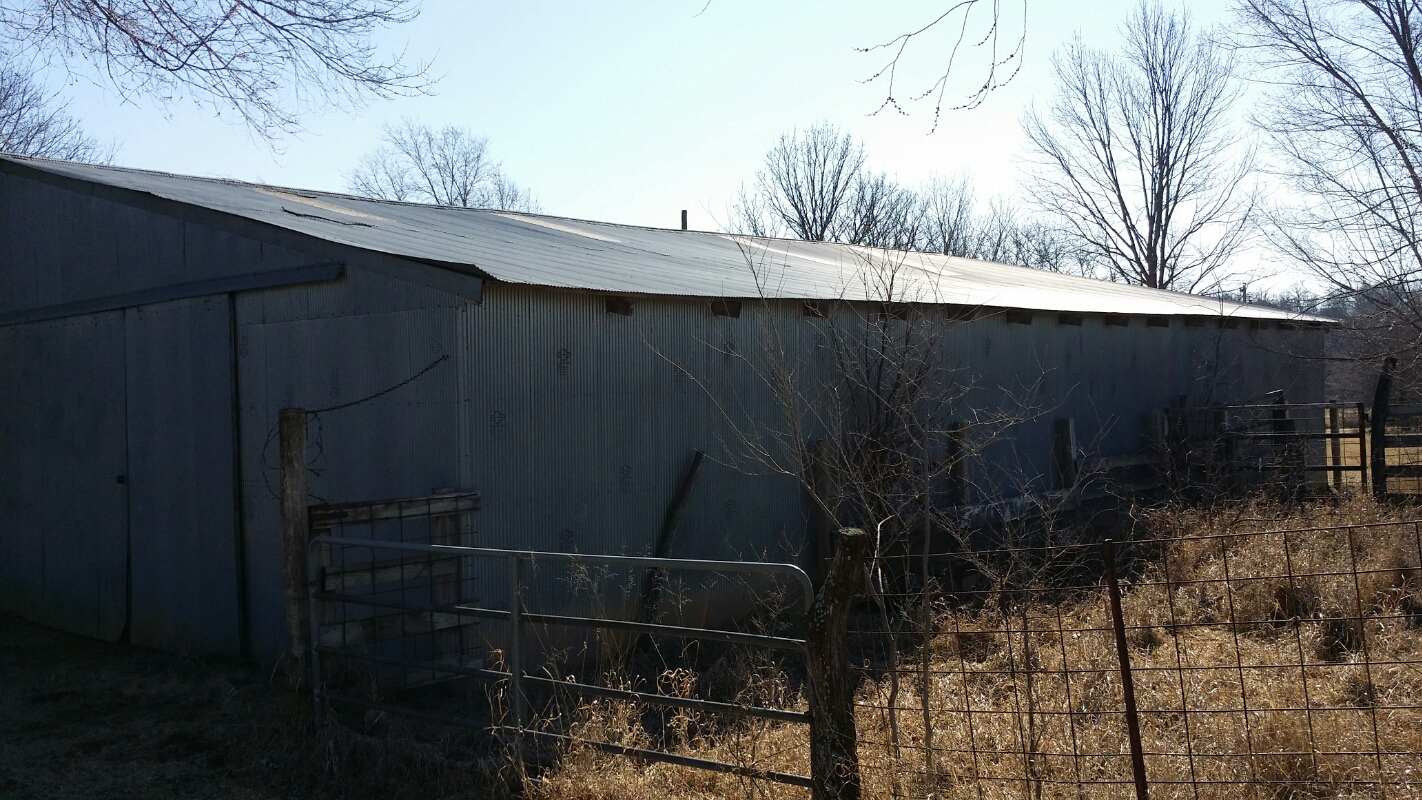 barn5.jpg